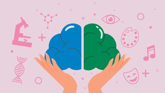 Hands holding up left and right brain, with left brain characteristics and right brain characteristics around each side