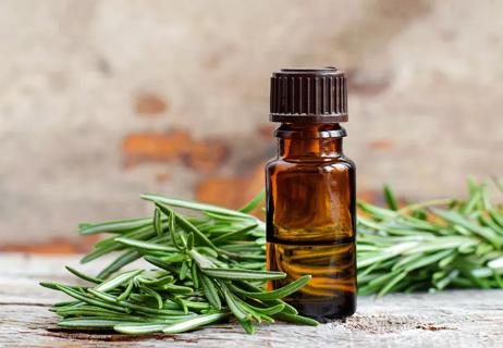 Rosemary oil in an essentials oil vial with rosemary clippings in the background.