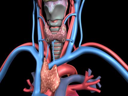 Thyroid disease
