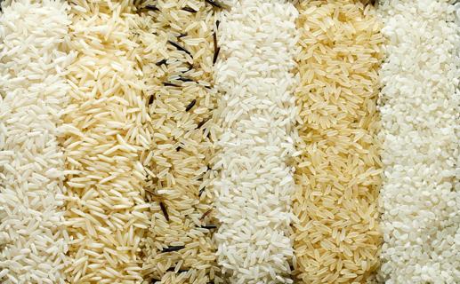 Rows of different kinds of rice