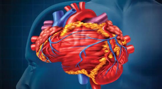 Imaging, Cognitive Testing Reveal Subtle Neurologic Damage Following Cardiac Procedures