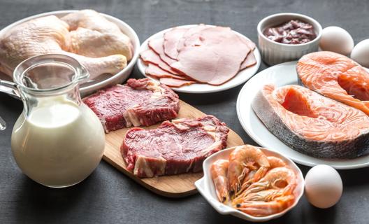 Assorted sources of protein, with salmon, chicken, eggs, shrimp and beef