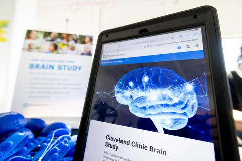 Brain study
