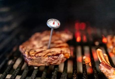 grilling meat testing temperature if done