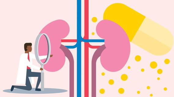 Healthcare provider with oversized magnifying glass checking oversized kidney funtion, with supplement capsule