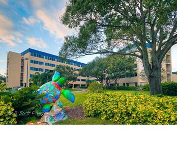 Indian River Main Hospital with Turtle Statue2