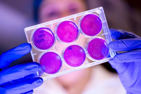 Lab researcher