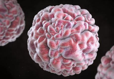 Closeup of Norovirus