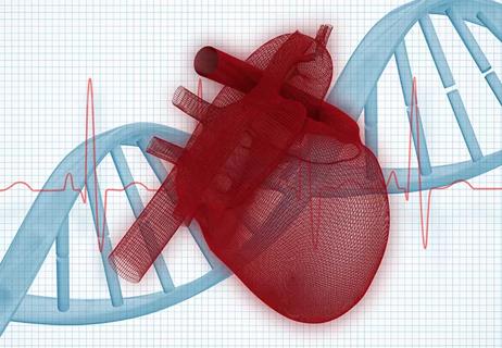 Composite image of illustration of 3d human heart