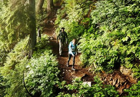 Father and daughter hiking in the forest early in the morning.