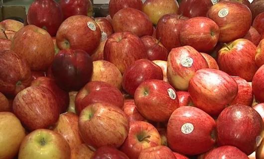 Apples in grocery store