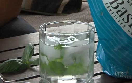 Water with garnish