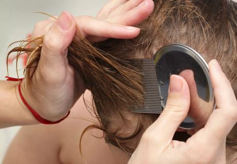 parent checking child's hair for lice