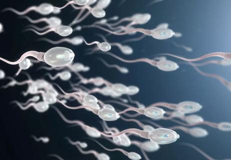 Illustration of sperm swimming