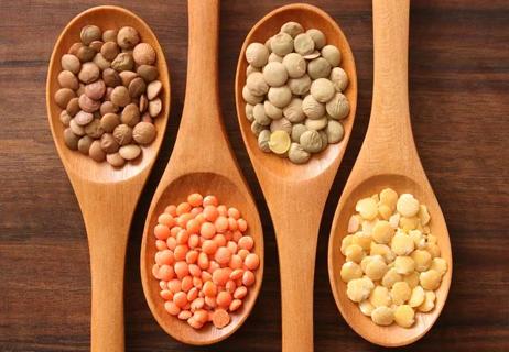 Four wooden spoons containing four different kinds of dried lentils.