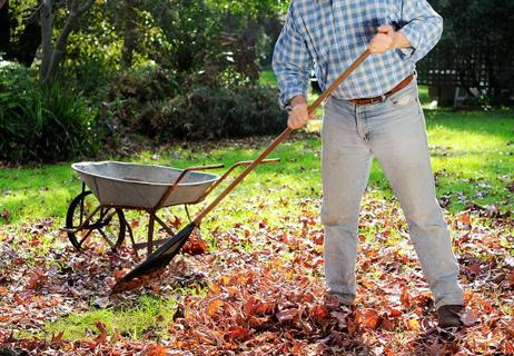 elderly man raking leaves in the fall