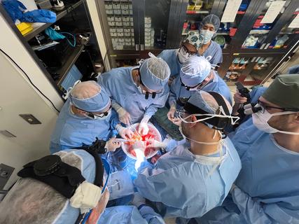 Surgeons operating on intestines