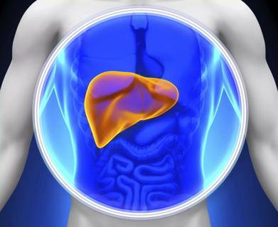 Liver-CQD