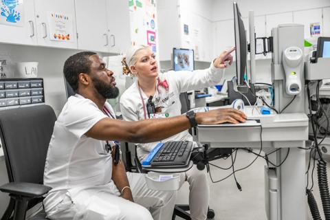 Two nurses at computer