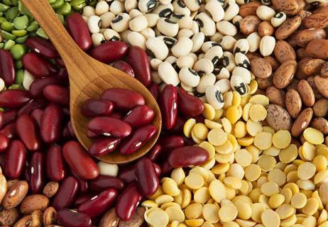 Close-up shot of black beans, kidney beans, lentils, pintos and garbanzos