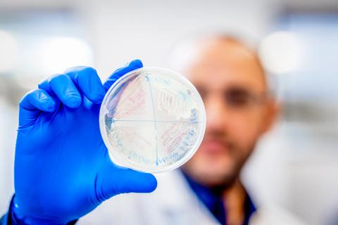 Lab research