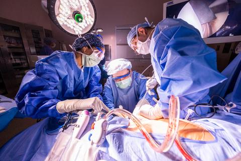 Kidney surgery