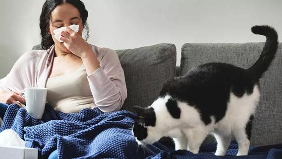 female on couch, holding mug, under blanket, blowing nose, cat on couch