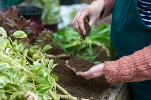 Gardening closeup