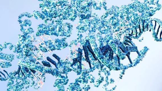 T53 mutation illustration