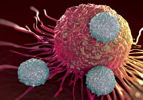 Is Your Immune System Unhealthy? How to Tell