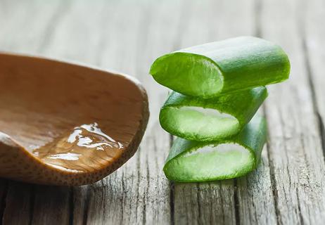 Three slices of an aloe plant sit next to a wooden container holding a clear liquid.