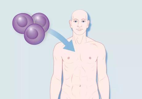 19-NEU-6534-Cohen-stem-cells-for-MS_Hero_650x450