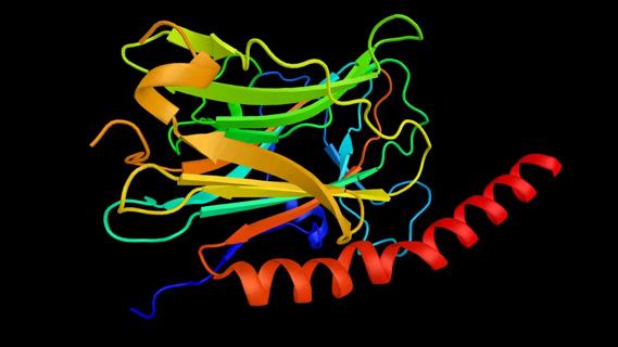 monoclonal antibody illustration