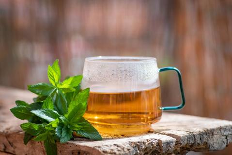 Cup of hot tea in glass mug, with peppermint sprigs near