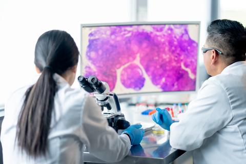 Physicians looking at cell slide on monitor