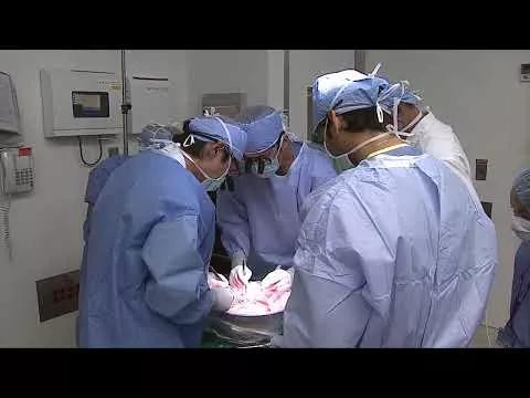 Importance of Organ Donations