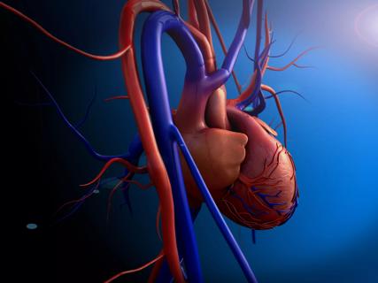 18-HRT-5616-total-artificial-heart-650&#215;450