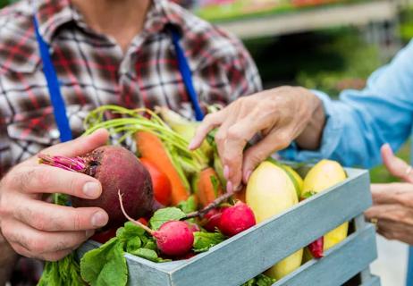 plant paradox farmers market vegetables