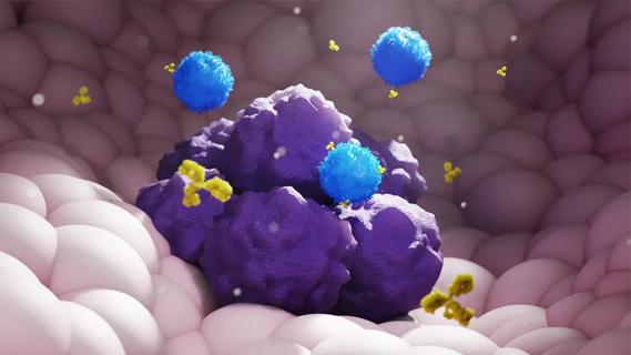 Immune checkpoint inhibitor illustration