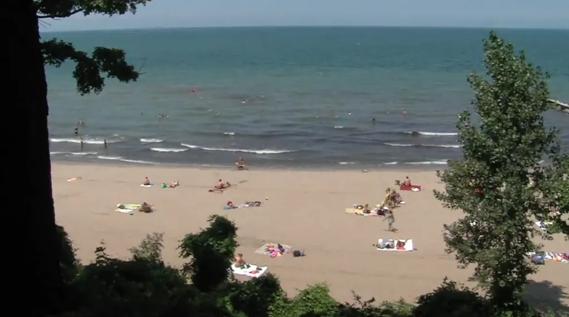 People at beach