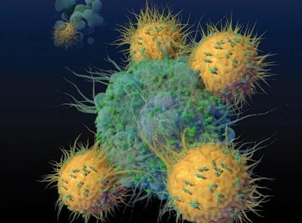 CAR T-cell therapy