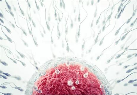 650&#215;450-Male-Infertility