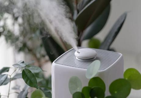 A working humidifier in a room
