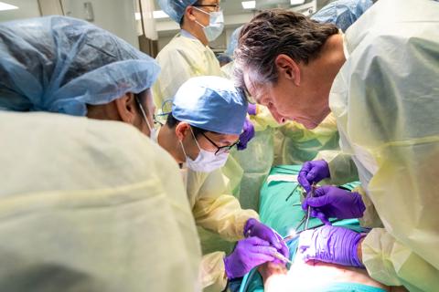 Surgeons in a training session
