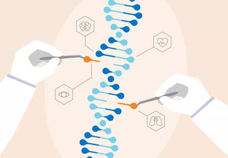 Scientist hands selecting part of DNA chain and editing with CRISPR technology.