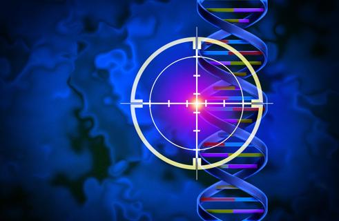sight picture overlaid on DNA double helix