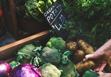 A person holding a potato, showcasing a variety of fresh produce.