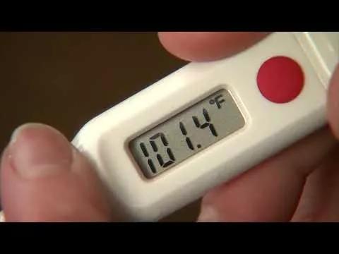 If You&#8217;re Feeling Ill, Its Best to Test