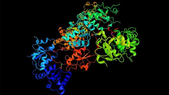 BRCA1 (3d structure)