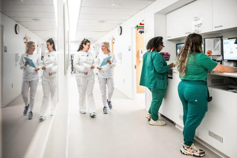 Nurse externs receive direction from proctor